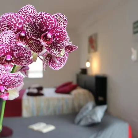 Le Dimore Del Sole Int 7 Appartement Olbia